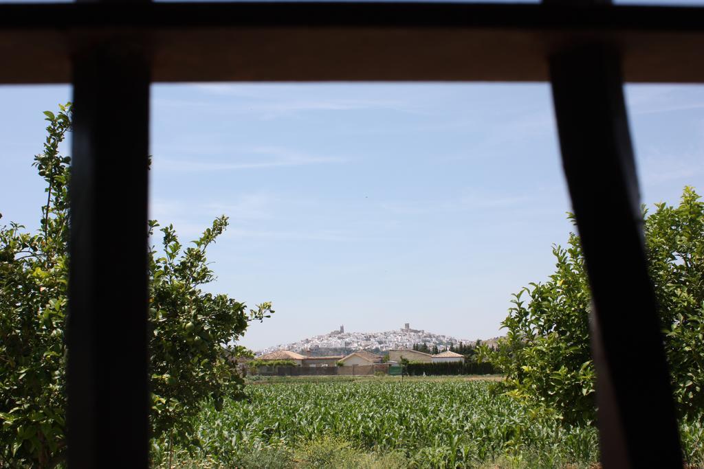Hostal Rural La Plata Parking Incluido أركوس ديلا فرونتيرا المظهر الخارجي الصورة