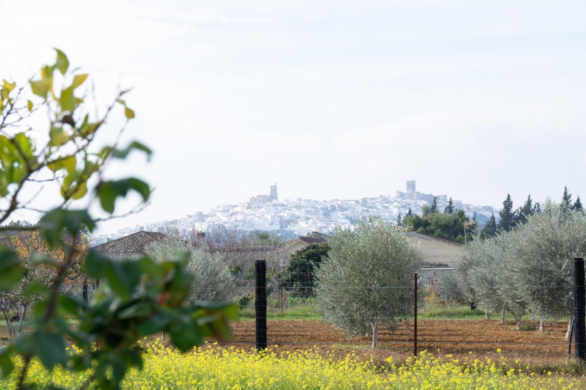 Hostal Rural La Plata Parking Incluido أركوس ديلا فرونتيرا المظهر الخارجي الصورة